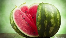 吃瓜网官网免费观看,热门剧集一网打尽！